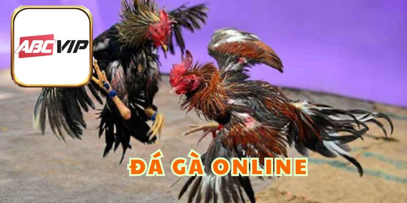 Đá Gà Online - Phiên Bản Tạo Nên Ấn Tượng Siêu Đặc Biệt