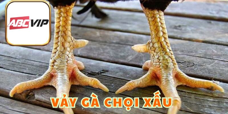 Vảy Gà Chọi Xấu Là Gì Và Dấu Hiệu Nhận Biết Để Tránh Mua Nhầm